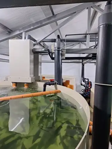 Проектирование, строительство, монтаж Установки Замкнутого Водоснабжения УЗВ, фотография 7