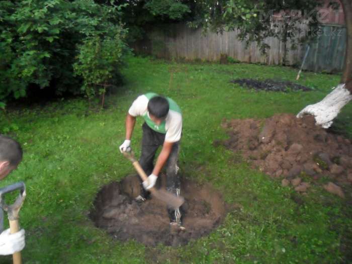 Сантехника Септик под ключ., фотография 2