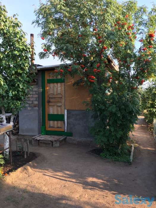 Продам дачу в обществе Союз, фотография 1