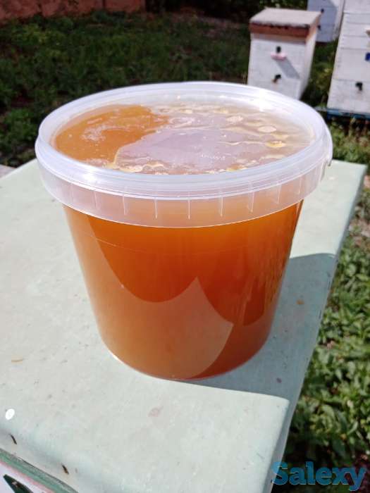 Продаю мед, фотография 1