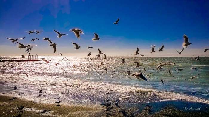 недвижимость в России. Сочи. Красная поляна, Адлер, Сочи. , фотография 3