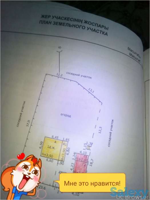 Обмен, фотография 1