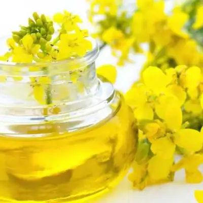 Рапсовое рафинированное дезодорированное масло от производителя, фотография 6