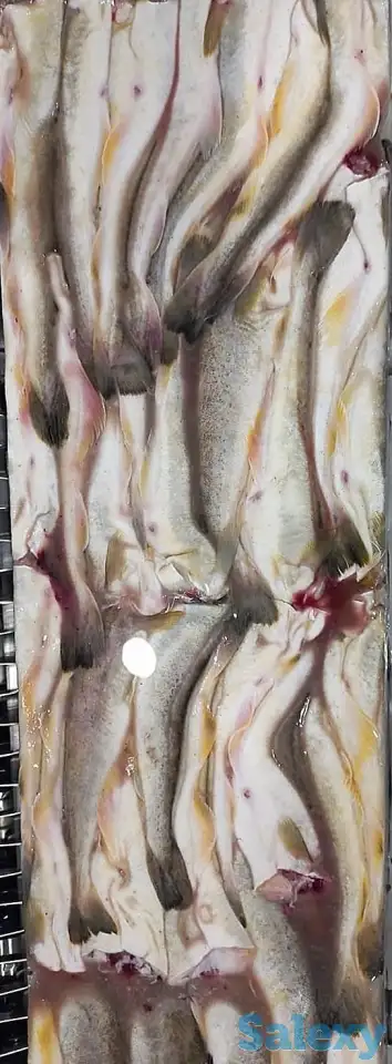 Рыба св.мороженная во Владивостоке., фотография 6