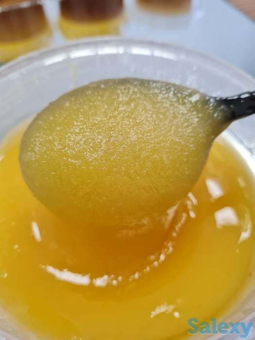 Продам мёд, Сотовый мёд, Продукты пчеловодства. Опт., фотография 1