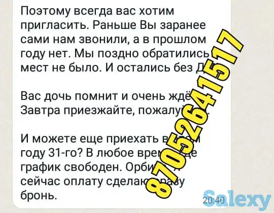 Дед Мороз на дом,Алматы!, фотография 4