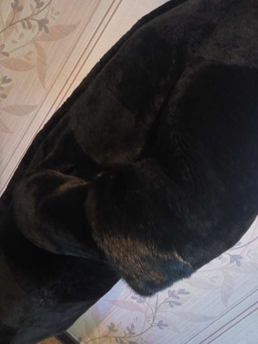 Шуба мутон, фотография 3