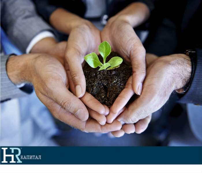 HR Капитал, фотография 1