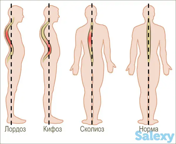Лечебный массаж для позвоночника, фотография 3