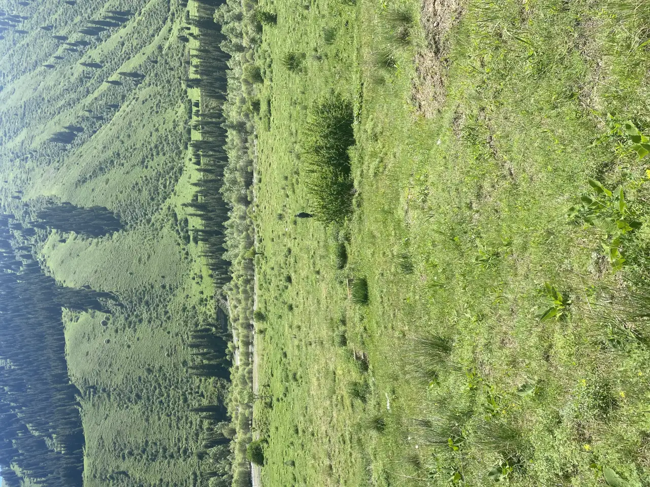 Участок 58 соток у озера колсай, Колсай, фотография 2