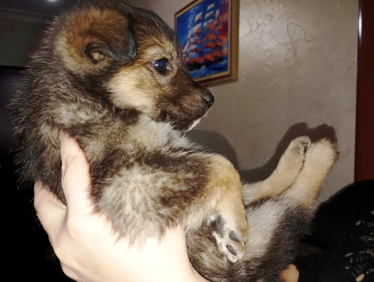 Забери меня к себе, Добрый человек, фотография 2