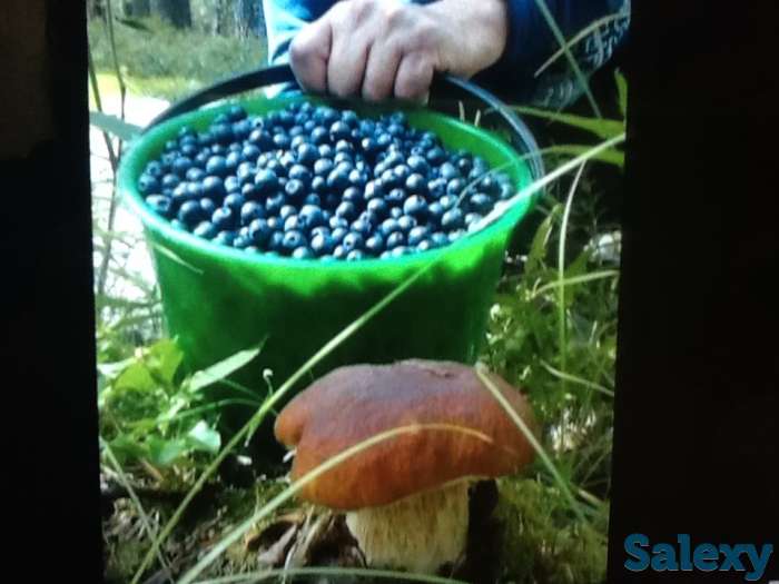 Добротный зимний дом в красивейшем месте, область,Хвойнинский район,ст.Кабожа, фотография 8