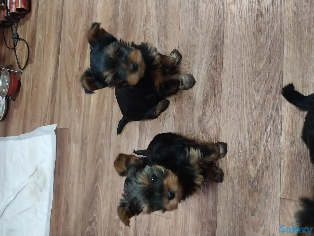 Продам, фотография 5