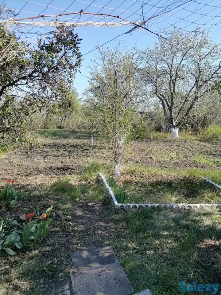 Продам дачу, фотография 3