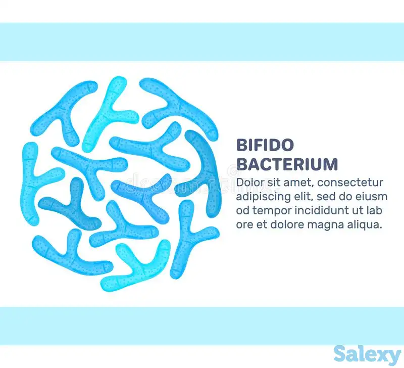 сухие высушенные лиофилизированные комплексы и моно бактерии лакто и бифидо культур., фотография 1