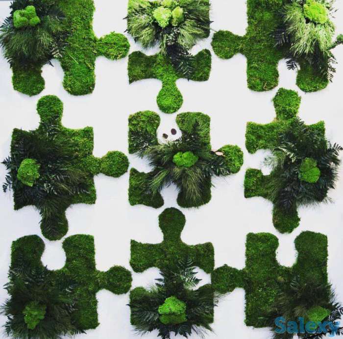 Озеленение интерьеров, фотография 4