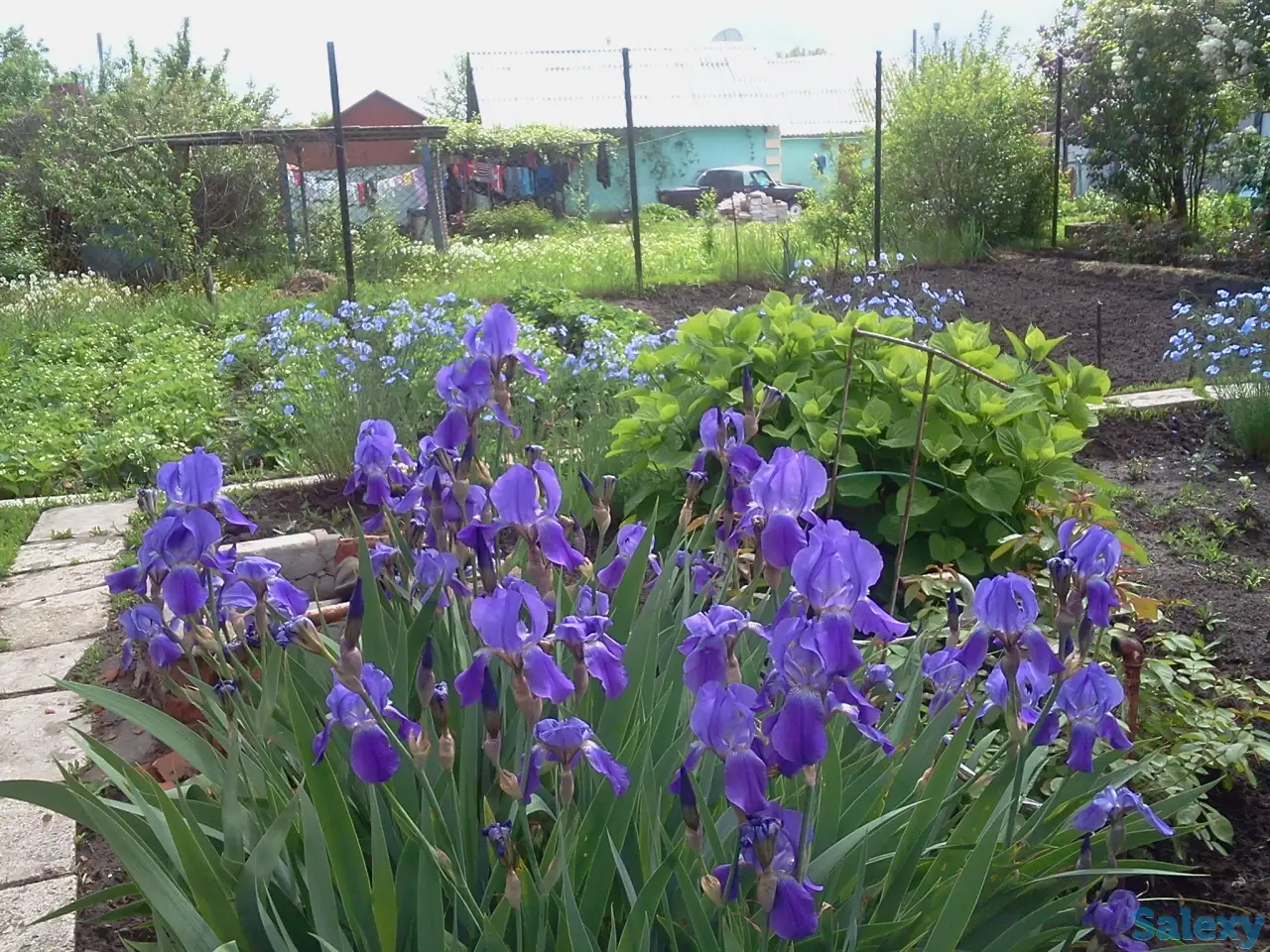 Садовый участок в ПСТ Локомотив в р-н рынка  Золотая чаша, фотография 6