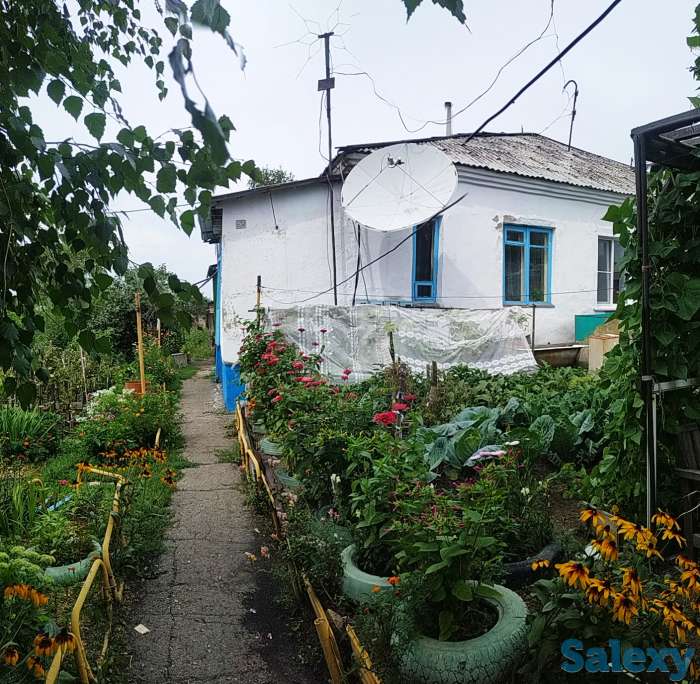 3-комнатный дом, 45 м², 4 сот., фотография 3