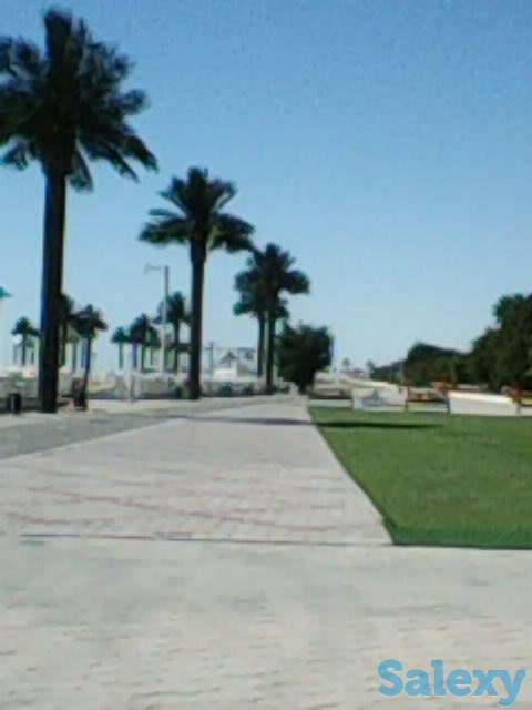 Набережная, море.курить запрещено, евроремонт, фотография 2