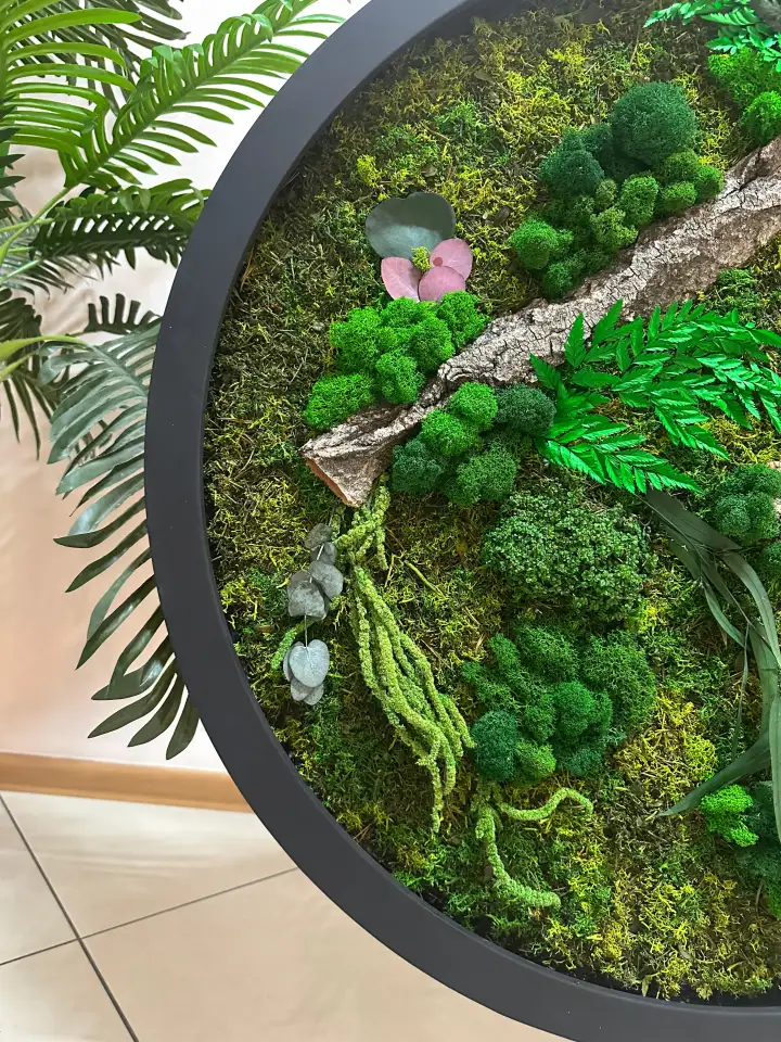 Живые картины, панно, декор из мха в Алматы., фотография 3