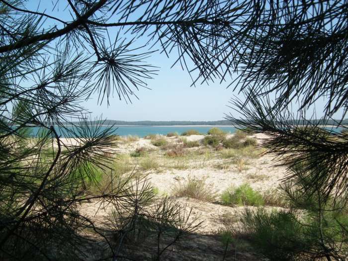 Репетитор французского языка, фотография 2