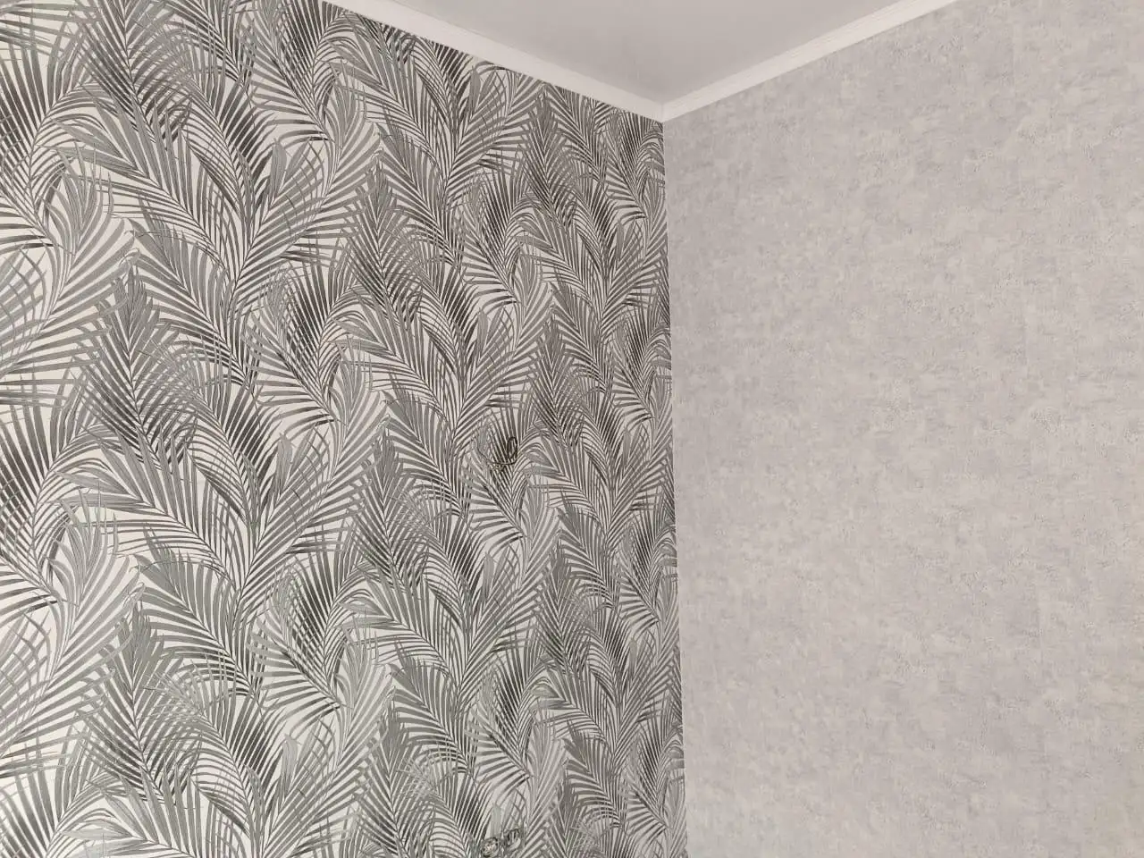 Обои,левкас,закатка!, фотография 6