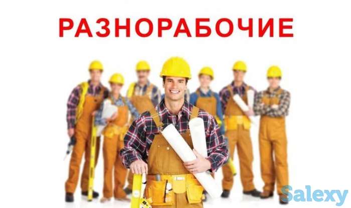 Требуются разнорабочие, универсалы, фотография 1