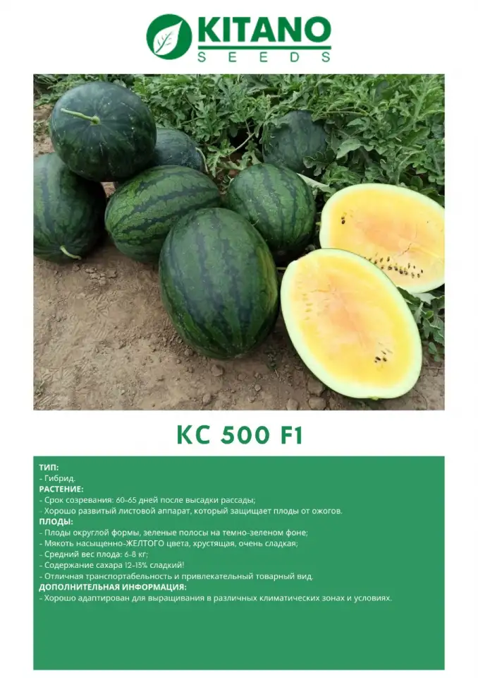 Продаем семена арбуза, фотография 7