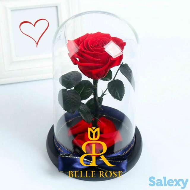 Живая Роза в стеклянной колбе - Бесплатная Доставка, фотография 1