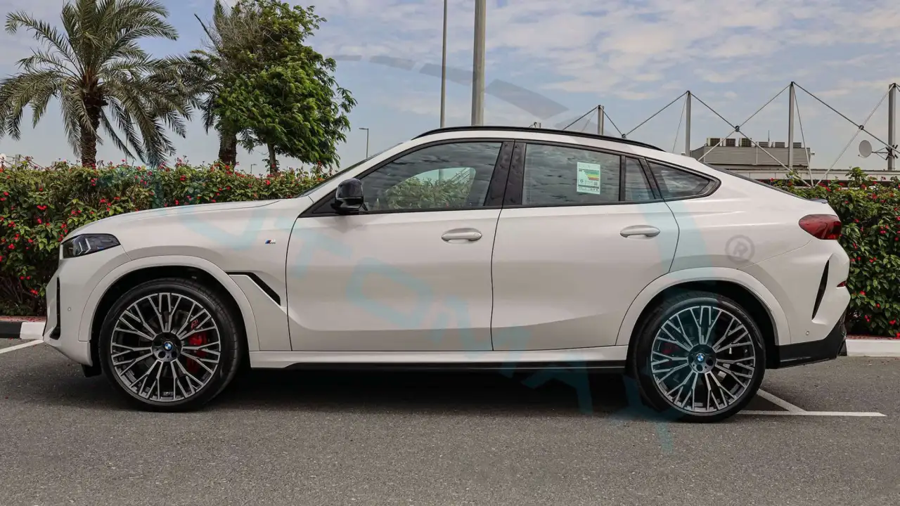 2024 BMW X6 Xdrive40i M, фотография 10