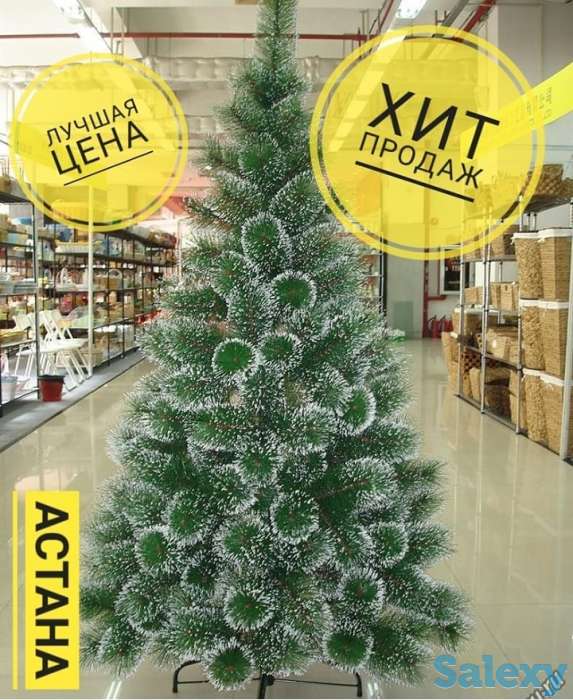 Новогодние елки с доставкой, фотография 1