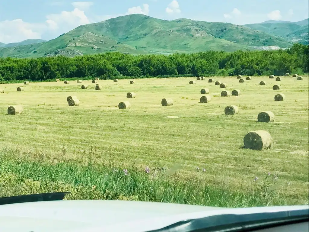 Участки в Катон-Карагае, фотография 6