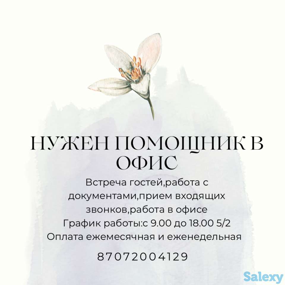 Нужен Помощник в офис, фотография 1
