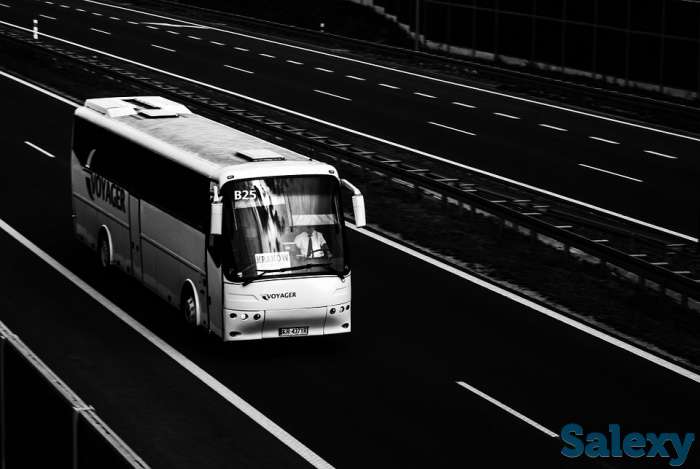 требуются водители автобусов и маршруток., фотография 1