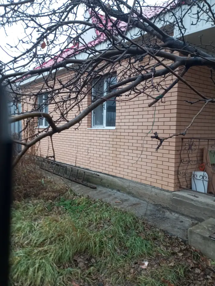 Сдам дачный дом, фотография 3