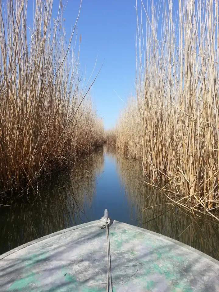 отдых рыбалка на Балхаше, фотография 2