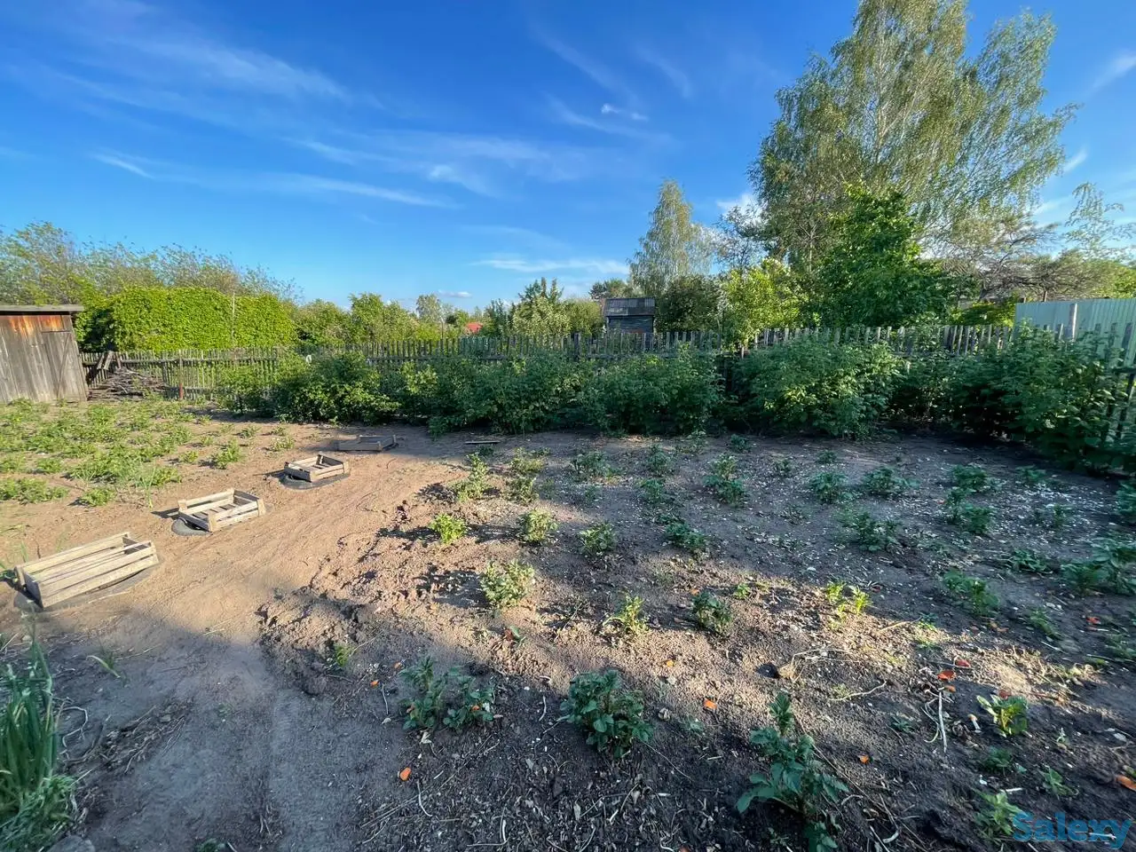 Дача. Петропавловск. Общество «Горизонт»., фотография 13