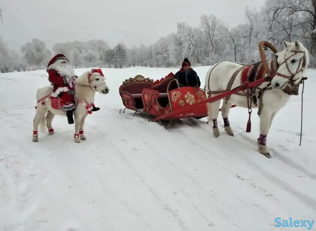 Сани. Дед Мороз на санях, фотография 7