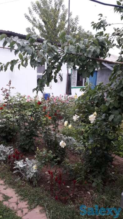 продам или обменяю частный дом, фотография 7