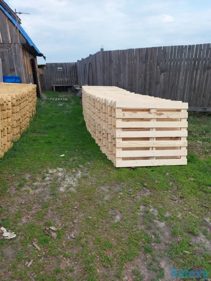 Поддонны, фотография 1