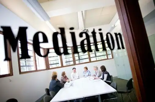 Медиатор профессиональный, фотография 1