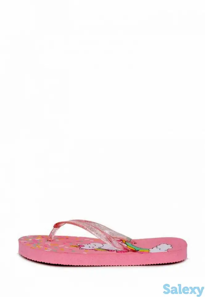 Сланцы t.taccardi, фотография 1