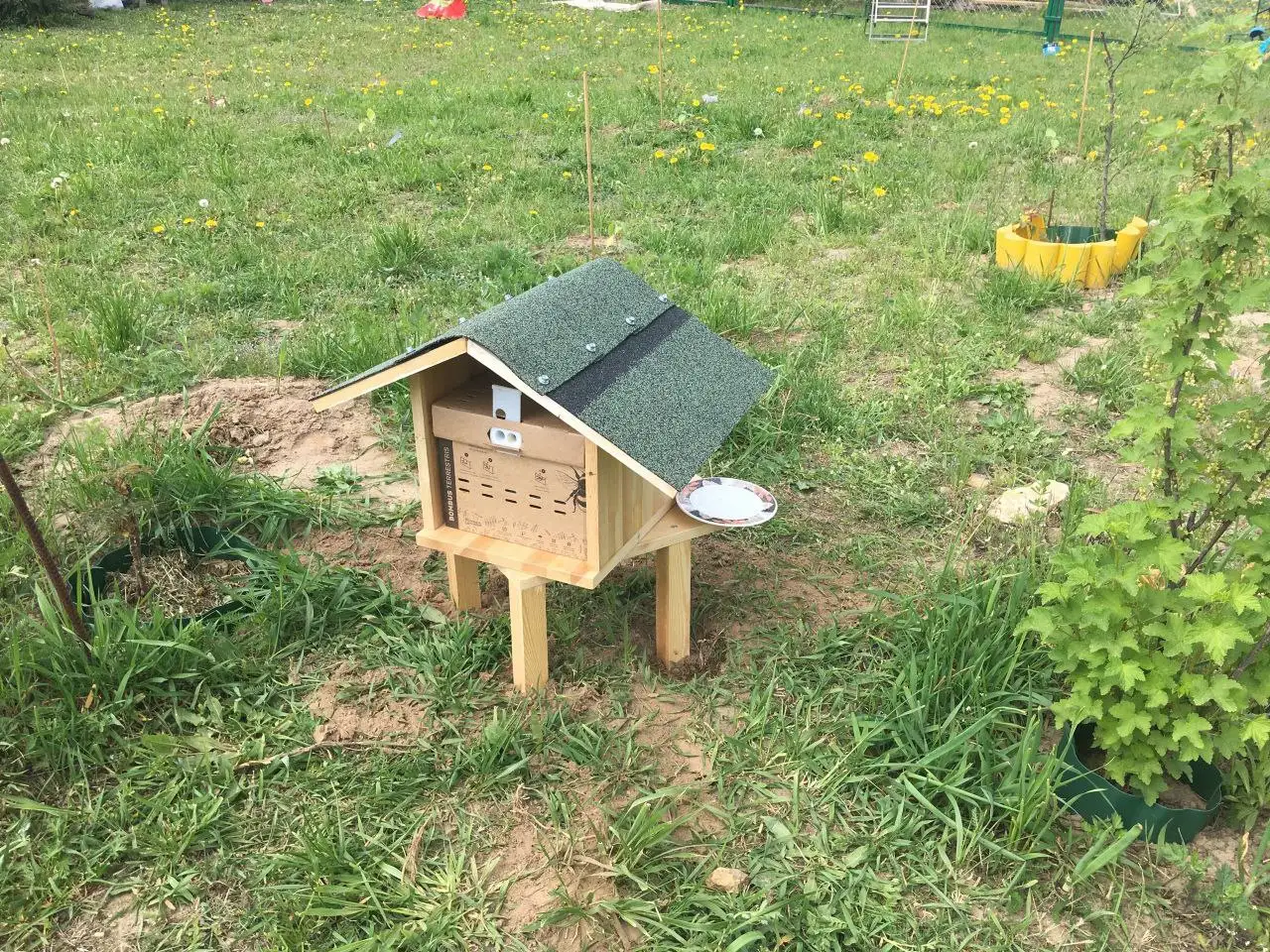 Шмелиная семья БиоИнновации Стандарт. Для опыления растений., фотография 2