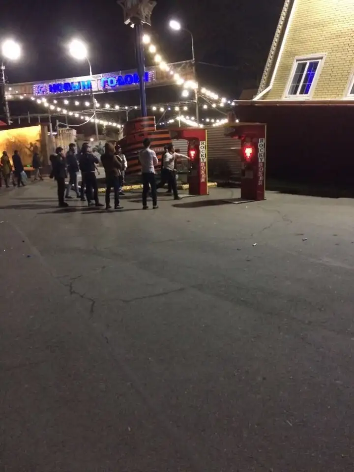 Силомер Rocky Boxer, фотография 4