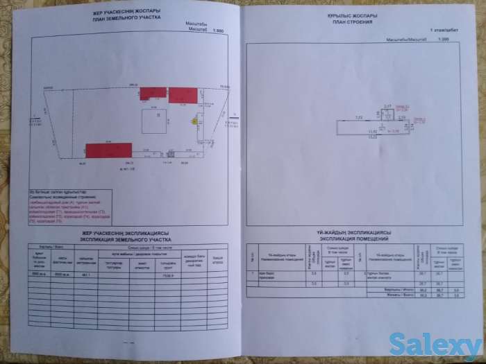продам 80 соток, карасайский район, долан, фотография 8