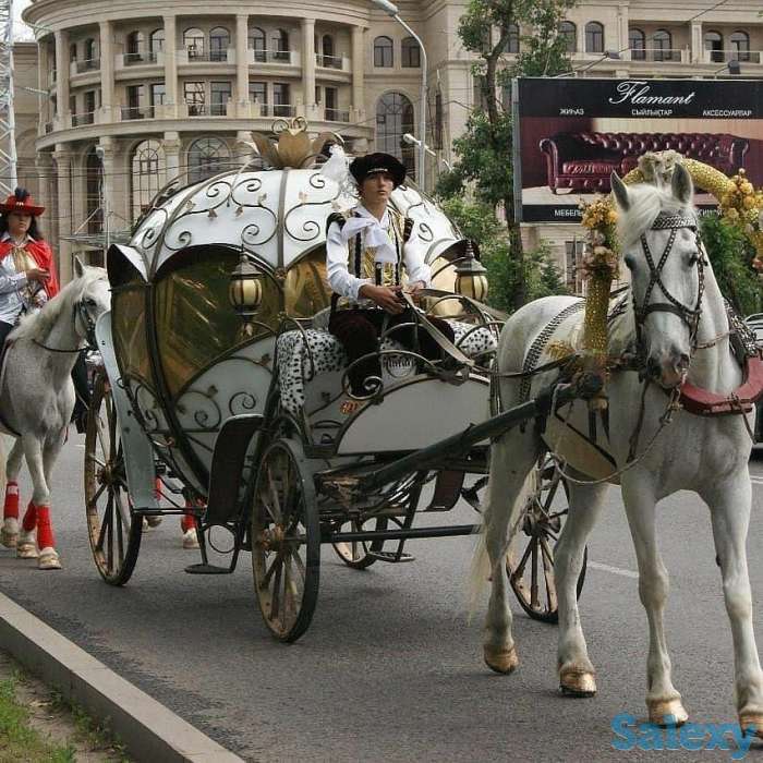 свидание в карете, фотография 2