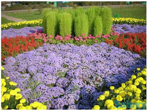 Ландшафтный дизайн, фотография 5