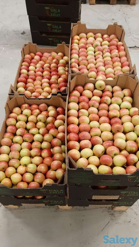 яблоки свежие, фотография 3