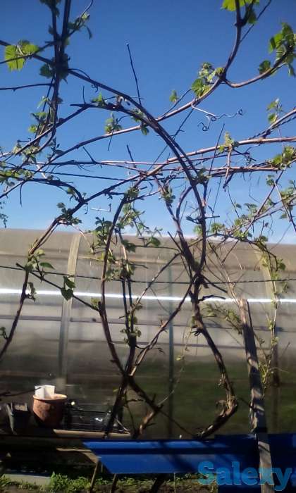 Продам или обменяю, С Заречное ул.Братьев Родионовых 17, фотография 1