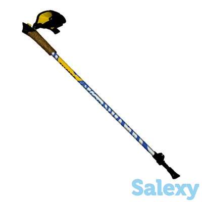 Палки Для Скандинавской Ходьбы Talberg Nordica Синие, фотография 1